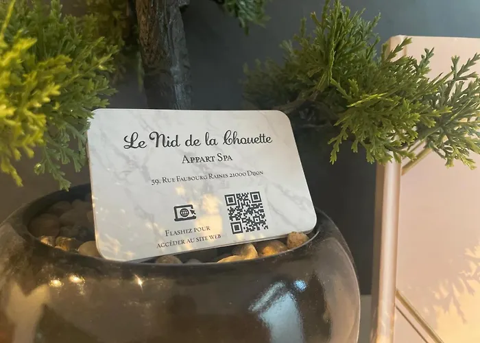 Le Nid De La Chouette - Gare & Cite By Apparts Spa Dijon